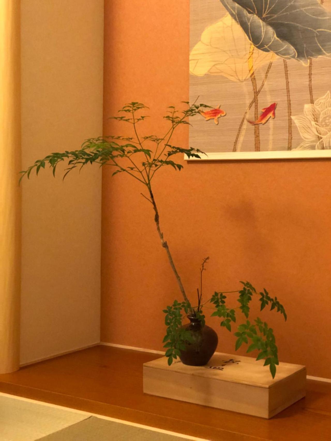静雅の宿 Kioto Exterior foto
